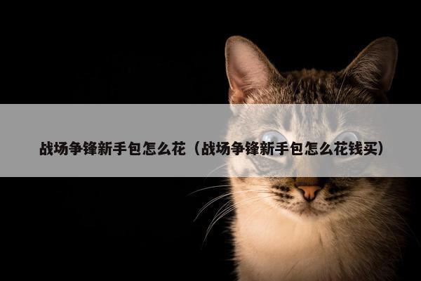 战场争锋新手包怎么花（战场争锋新手包怎么花钱买）