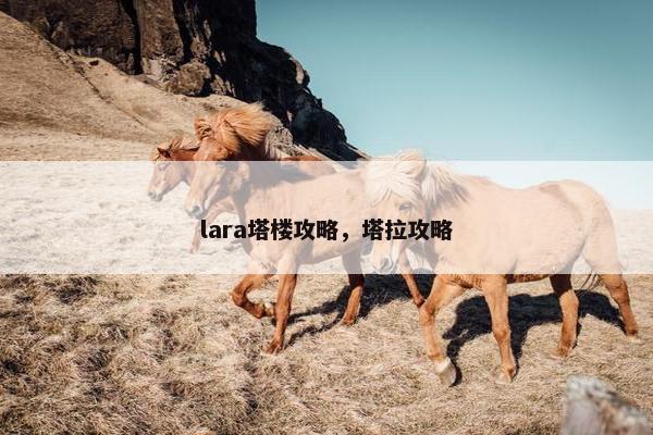 lara塔楼攻略，塔拉攻略
