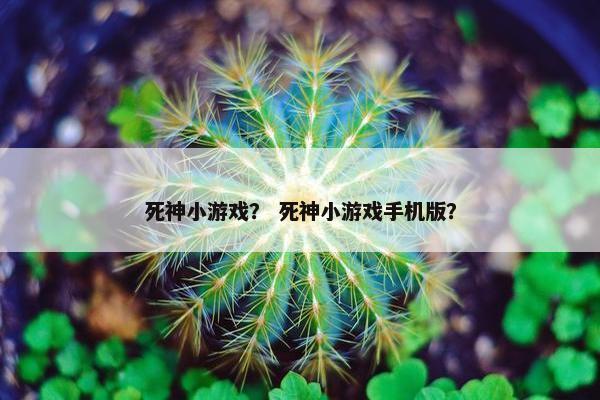 死神小游戏？ 死神小游戏手机版？