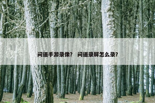 问道手游录像？ 问道录屏怎么录？