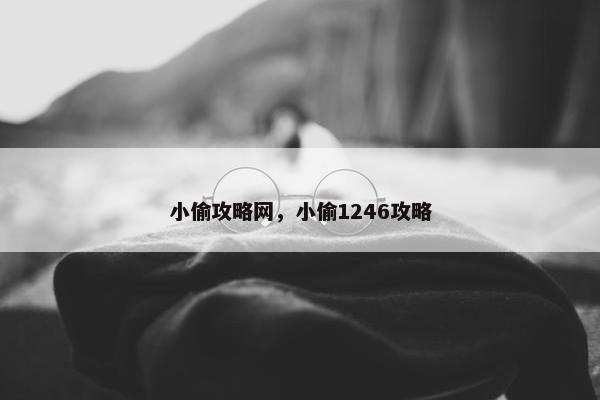 小偷攻略网，小偷1246攻略