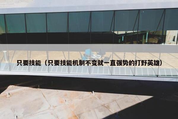 只要技能（只要技能机制不变就一直强势的打野英雄）