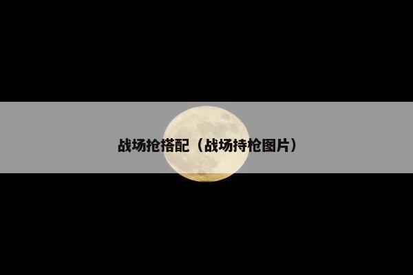 战场抢搭配（战场持枪图片）