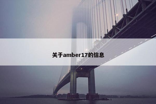 关于amber17的信息