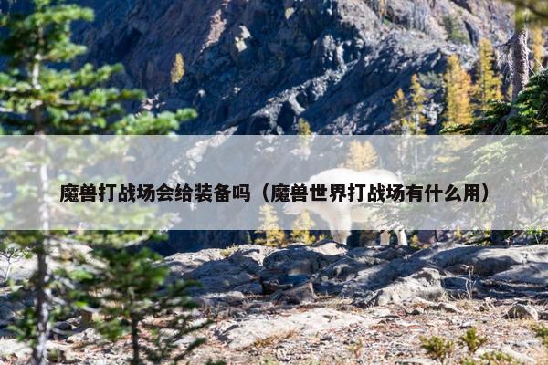 魔兽打战场会给装备吗（魔兽世界打战场有什么用）