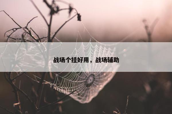 战场个挂好用，战场辅助