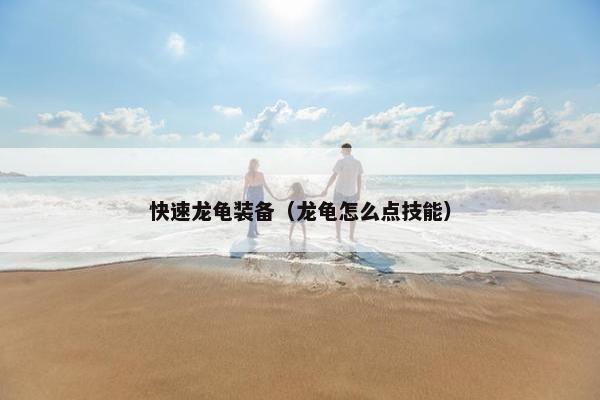 快速龙龟装备（龙龟怎么点技能）