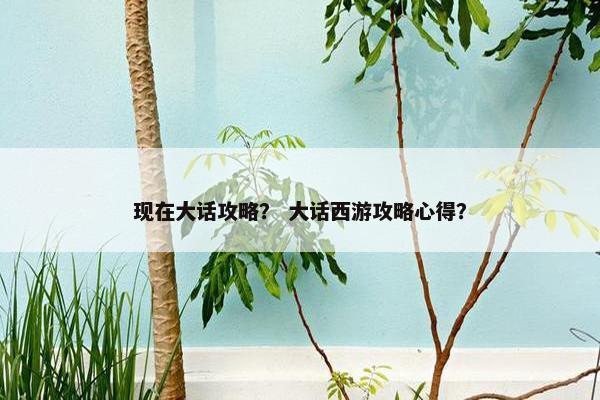 现在大话攻略？ 大话西游攻略心得？