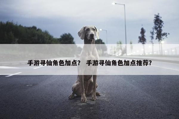 手游寻仙角色加点？ 手游寻仙角色加点推荐？