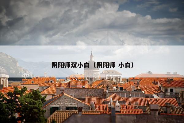 阴阳师双小白（阴阳师 小白）