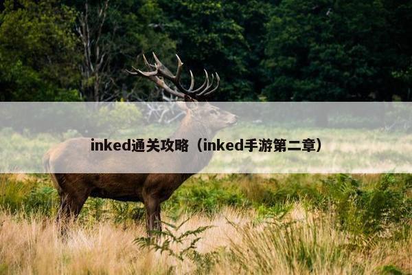 inked通关攻略（inked手游第二章）