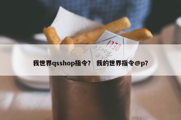 我世界qsshop指令？ 我的世界指令@p？