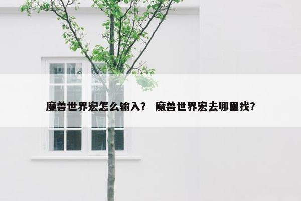 魔兽世界宏怎么输入？ 魔兽世界宏去哪里找？