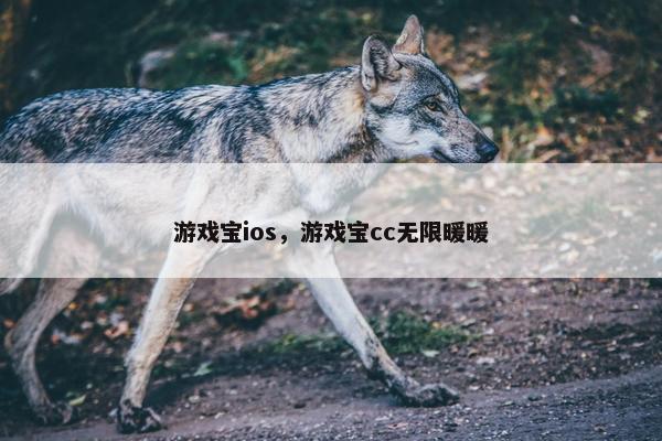 游戏宝ios，游戏宝cc无限暖暖