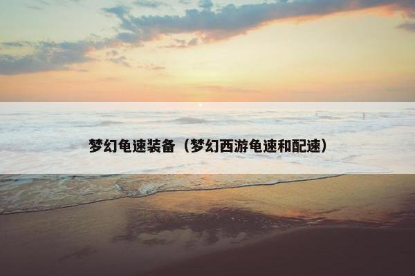 梦幻龟速装备（梦幻西游龟速和配速）