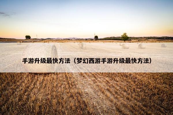 手游升级最快方法（梦幻西游手游升级最快方法）