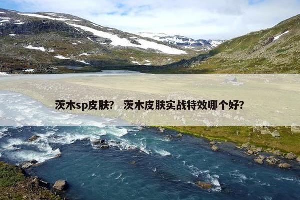 茨木sp皮肤？ 茨木皮肤实战特效哪个好？