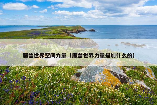 魔兽世界空间力量（魔兽世界力量是加什么的）