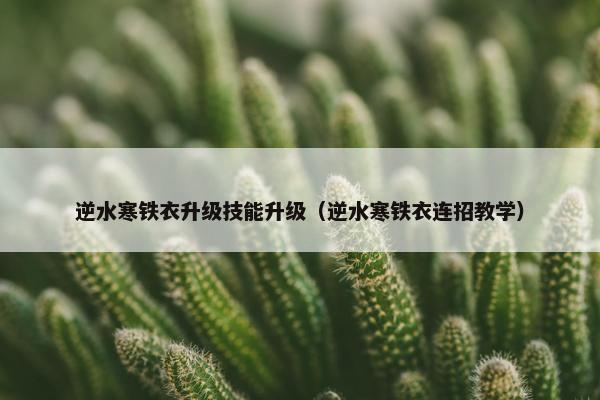 逆水寒铁衣升级技能升级（逆水寒铁衣连招教学）