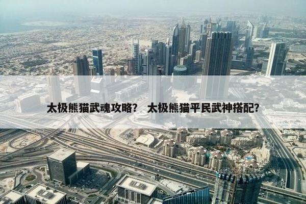 太极熊猫武魂攻略？ 太极熊猫平民武神搭配？