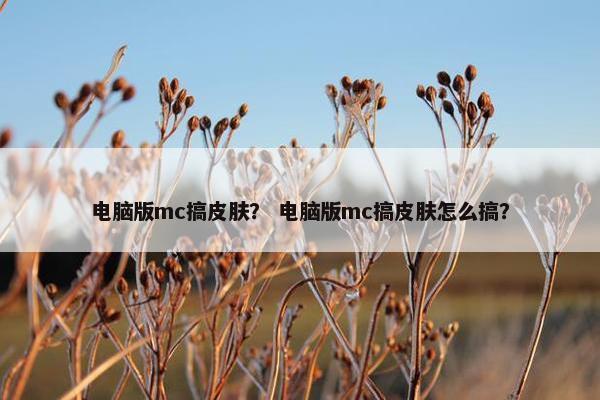 电脑版mc搞皮肤？ 电脑版mc搞皮肤怎么搞？