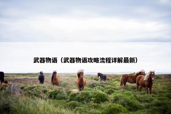 武器物语（武器物语攻略流程详解最新）