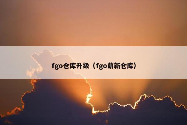 fgo仓库升级（fgo萌新仓库）