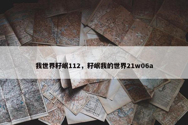 我世界籽岷112，籽岷我的世界21w06a