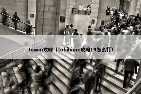 towm攻略（tobihime攻略15怎么打）