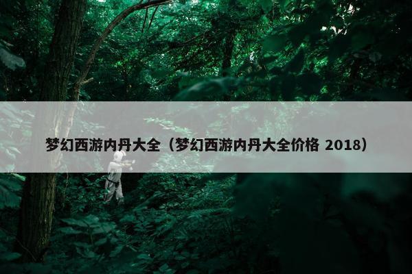 梦幻西游内丹大全（梦幻西游内丹大全价格 2018）