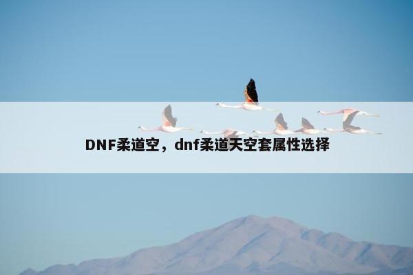 DNF柔道空，dnf柔道天空套属性选择