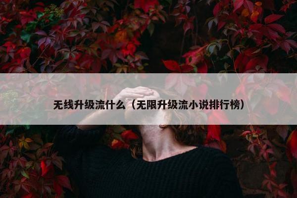 无线升级流什么（无限升级流小说排行榜）