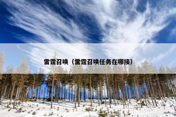 雷霆召唤（雷霆召唤任务在哪接）