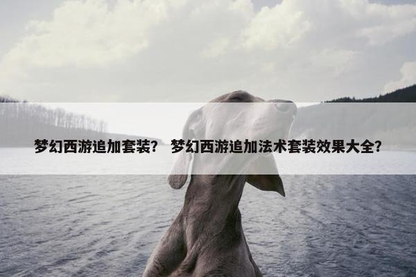 梦幻西游追加套装？ 梦幻西游追加法术套装效果大全？