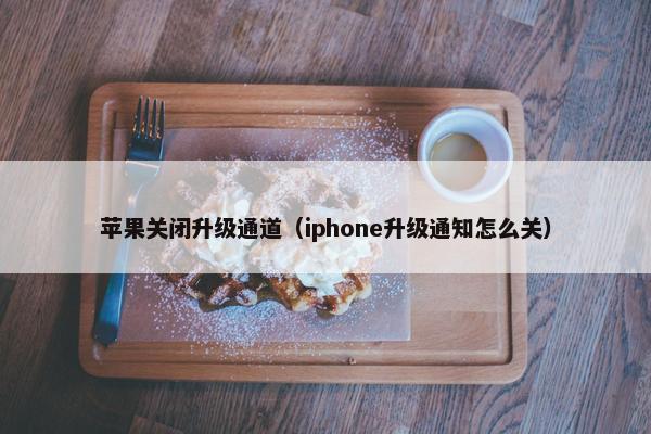 苹果关闭升级通道（iphone升级通知怎么关）