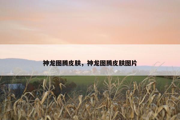 神龙图腾皮肤，神龙图腾皮肤图片