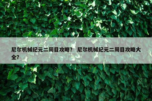 尼尔机械纪元二周目攻略？ 尼尔机械纪元二周目攻略大全？