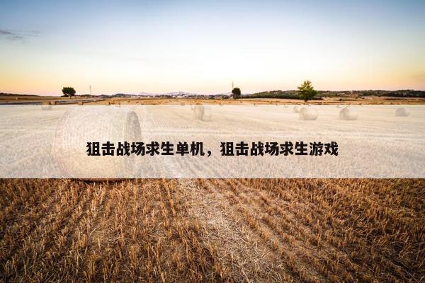 狙击战场求生单机，狙击战场求生游戏
