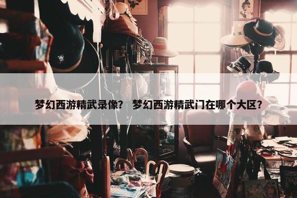 梦幻西游精武录像？ 梦幻西游精武门在哪个大区？