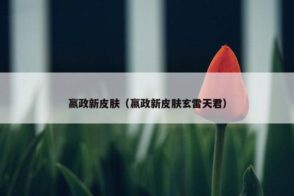 嬴政新皮肤（嬴政新皮肤玄雷天君）