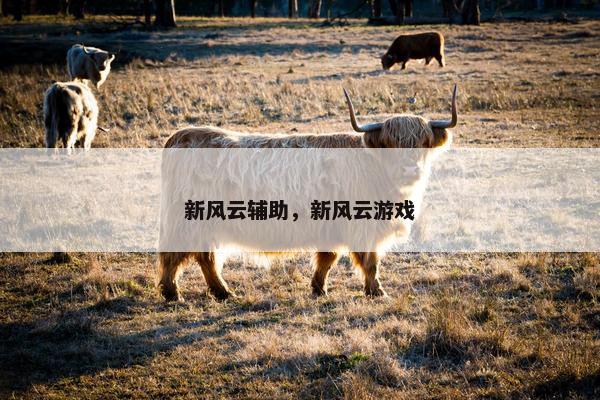 新风云辅助，新风云游戏