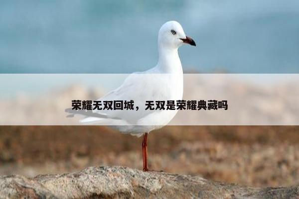 荣耀无双回城，无双是荣耀典藏吗