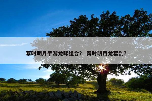 秦时明月手游龙啸组合？ 秦时明月龙套剑？