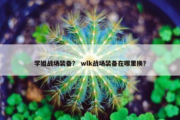 学姐战场装备？ wlk战场装备在哪里换？