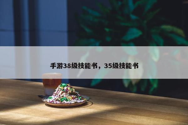 手游38级技能书，35级技能书