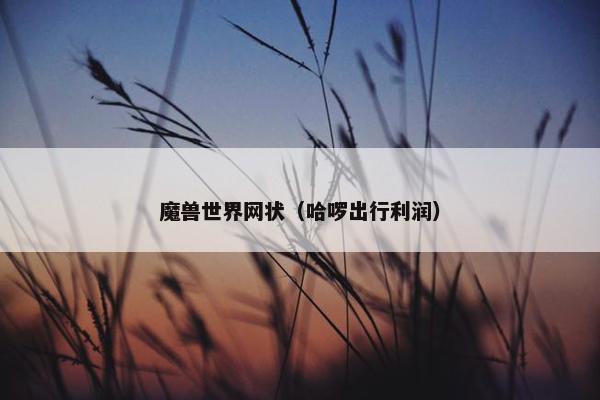 魔兽世界网状（哈啰出行利润）