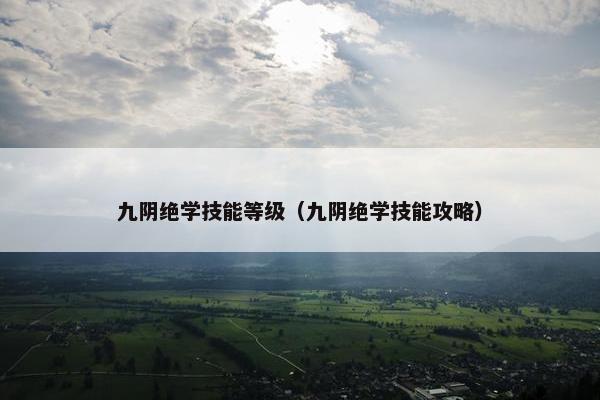 九阴绝学技能等级（九阴绝学技能攻略）