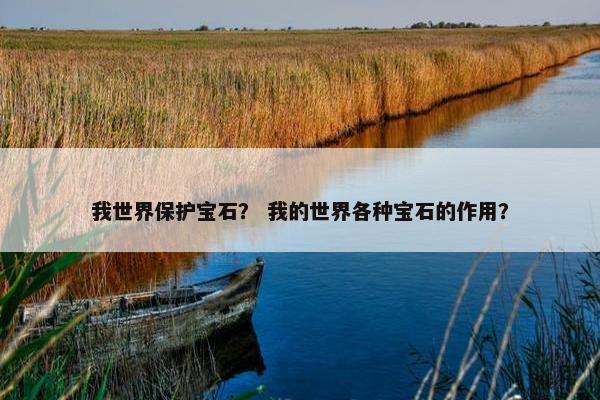 我世界保护宝石？ 我的世界各种宝石的作用？