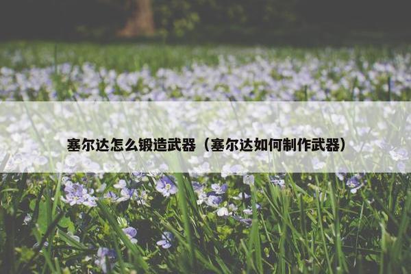 塞尔达怎么锻造武器（塞尔达如何制作武器）