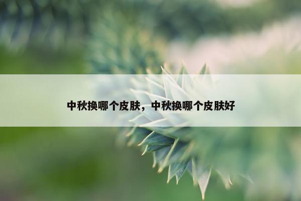 中秋换哪个皮肤，中秋换哪个皮肤好